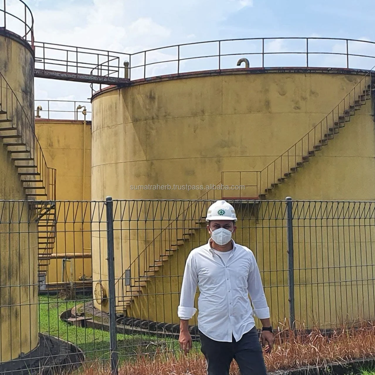 Высококачественный RBD ладонь олеин CP10 для приготовления пищи из Индонезии