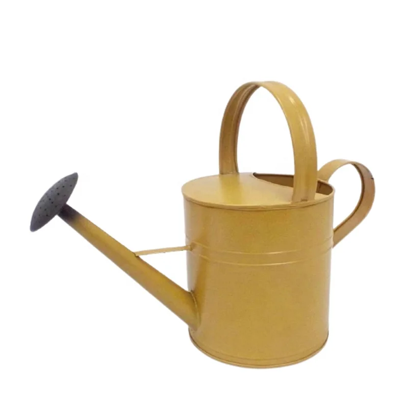 Gardening Customized Iron Long Spout Power Coated Spray Water Can Garden Metal Watering Can