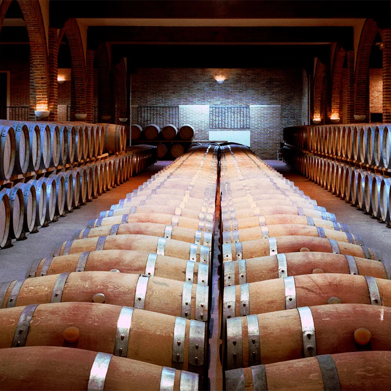 Испанское Красное вино высшего качества Rioja Lagunilla бронированного 1 коробка содержит 6 бутылок Оптом