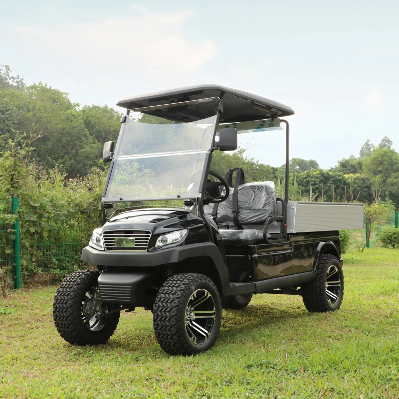 2 Person High Quality Hotel Using Golf Buggy Car with Cargo Box Housekeeping Car
