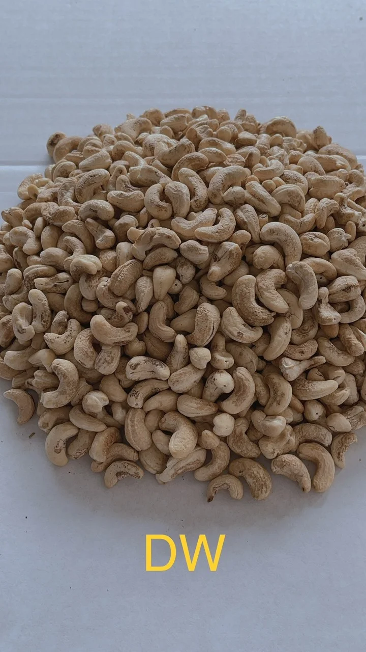 OEM вьетнамский орех кешью сырые орехи здоровые закуски органические в скорлупе