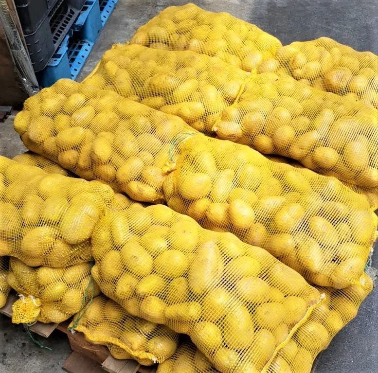 FRESH HOLLAND POTATOES PREMIUM GRADE GUARANTEE FOR EXPORT