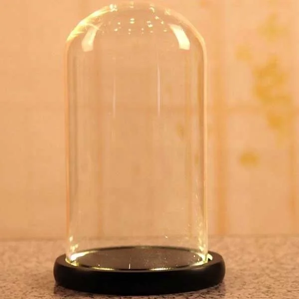 Decorative Cover Glass Dome
