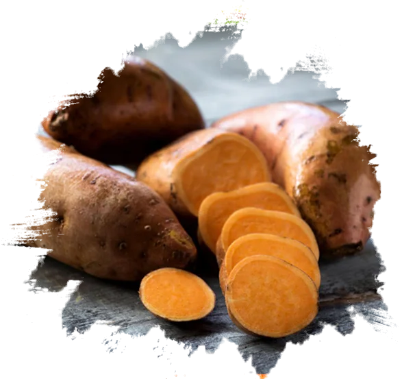 Свежий медовый Сладкий Картофель/дешевая свежий медовый сладкий картофель