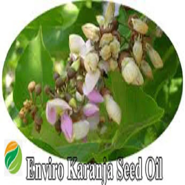 ISO  Certified Bulk Quantity Karanja Oil used as Bio Pesticides for Agriculture