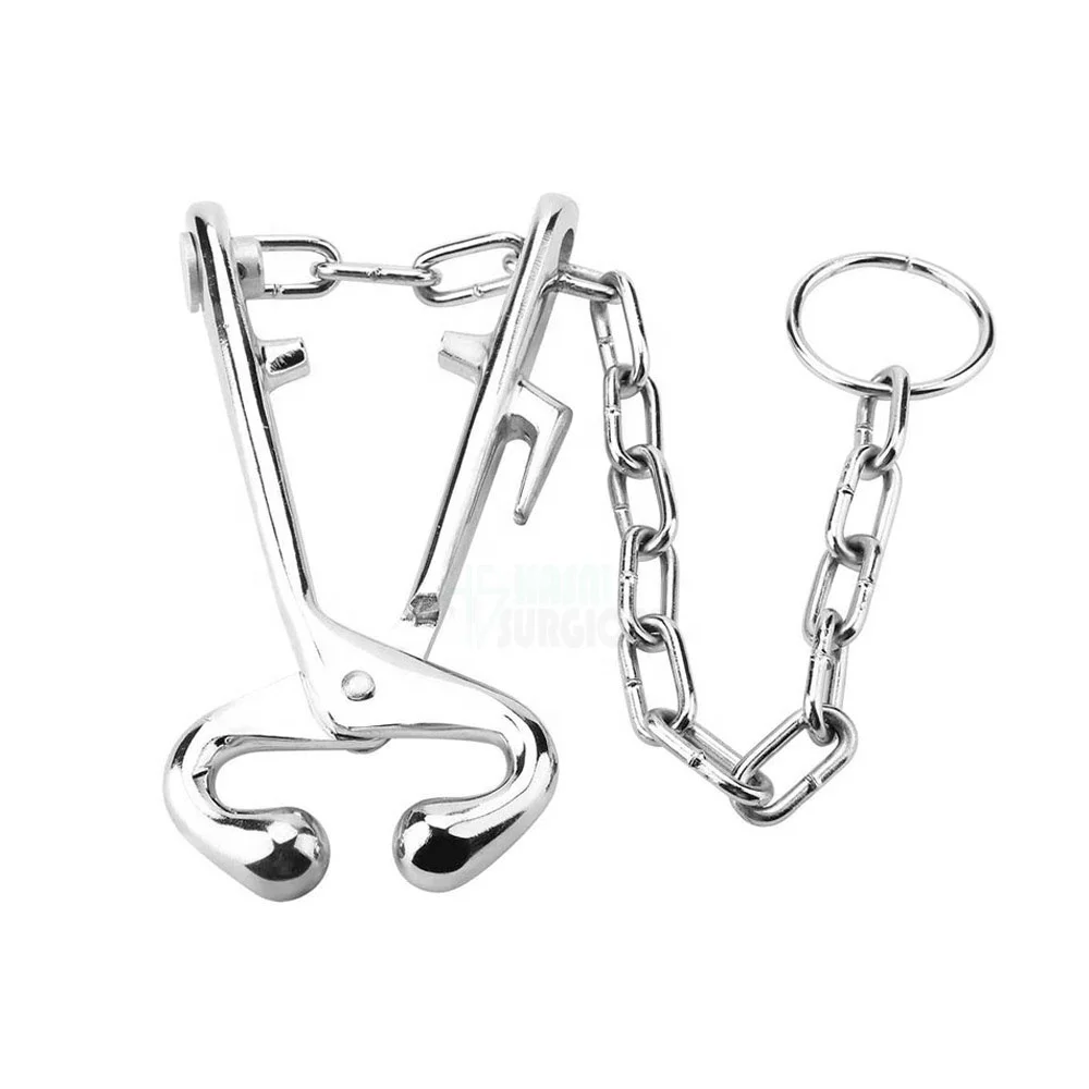Bull Lead   stainless steel 7 5   Long with chain   13.5  Long   by hasni surgical
