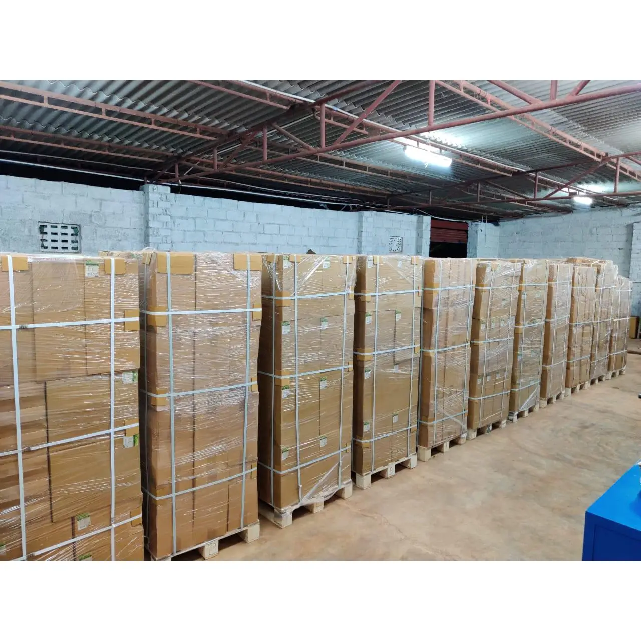 Eco-Friendly , 100 % Natural, Bio- degradable Disposable Areca Palm Leaf Rectangular 2 compartment Plate 23.6 cm Double Tray, no