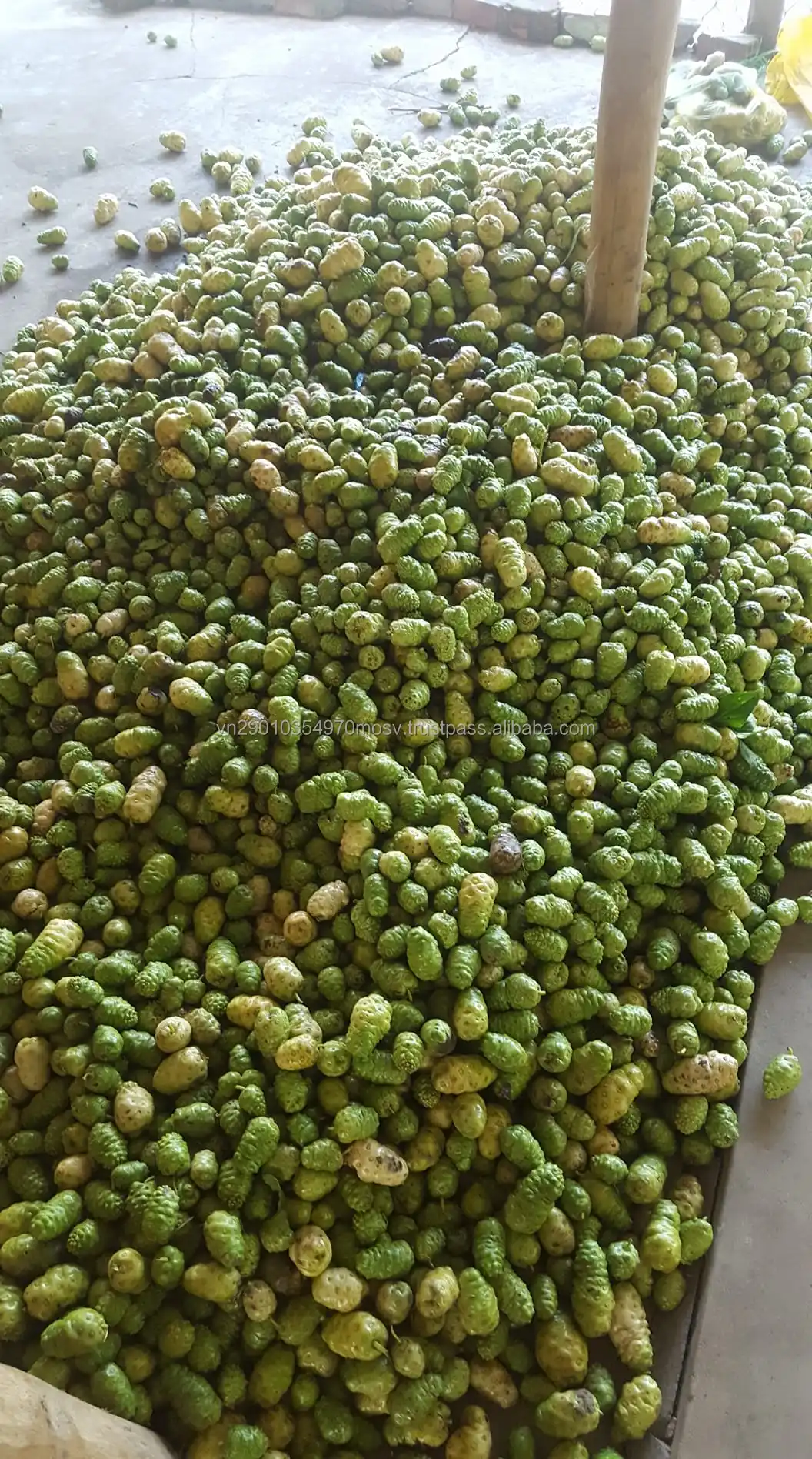 Сухофрукты нони-100% органические сухофрукты Нони из Вьетнама