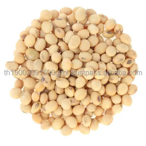 roasted-soybean-500x500.jpg