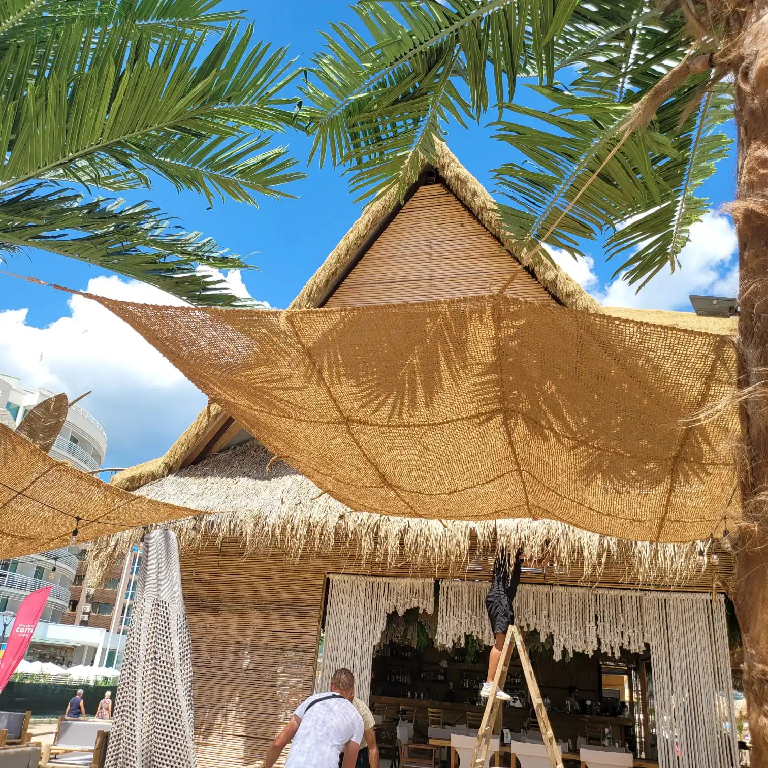 2024 Factory Direct Export Eco-Friendly Coconut Coir Net from Vietnam For Sunshade Net Competitive Agriculture Product Price