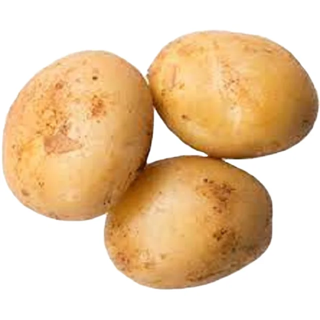 Potato - Think different Think Potato