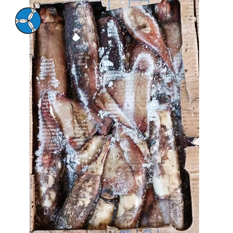 Новое поступление, высококачественные замороженные кальмары, целые круглые морепродукты, оптовая продажа, замороженные индийские океанические кальмары