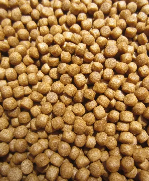 Snakehead Pellet Feed Growth Booster Exported from Vietnam with Premium Fish Meal Ingredient 40-42% Protein 25kg/bag Fish Food