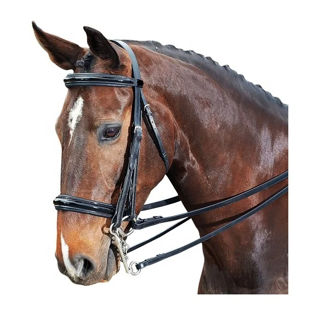 Horse Bridle Manufacturer & Supplier