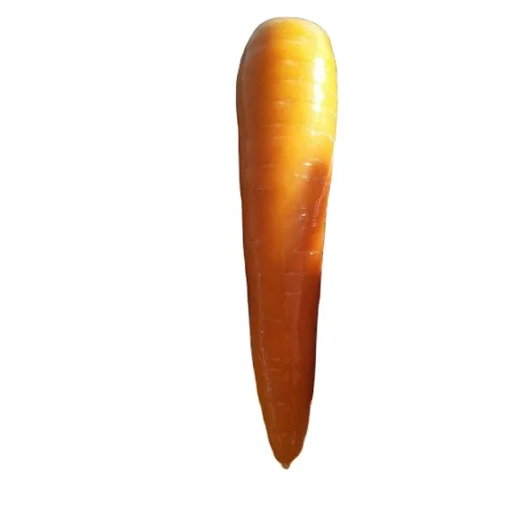 Fresh Carrot Cheap price Shan dong new crop Fresh Carrot Red carrot 2022 new