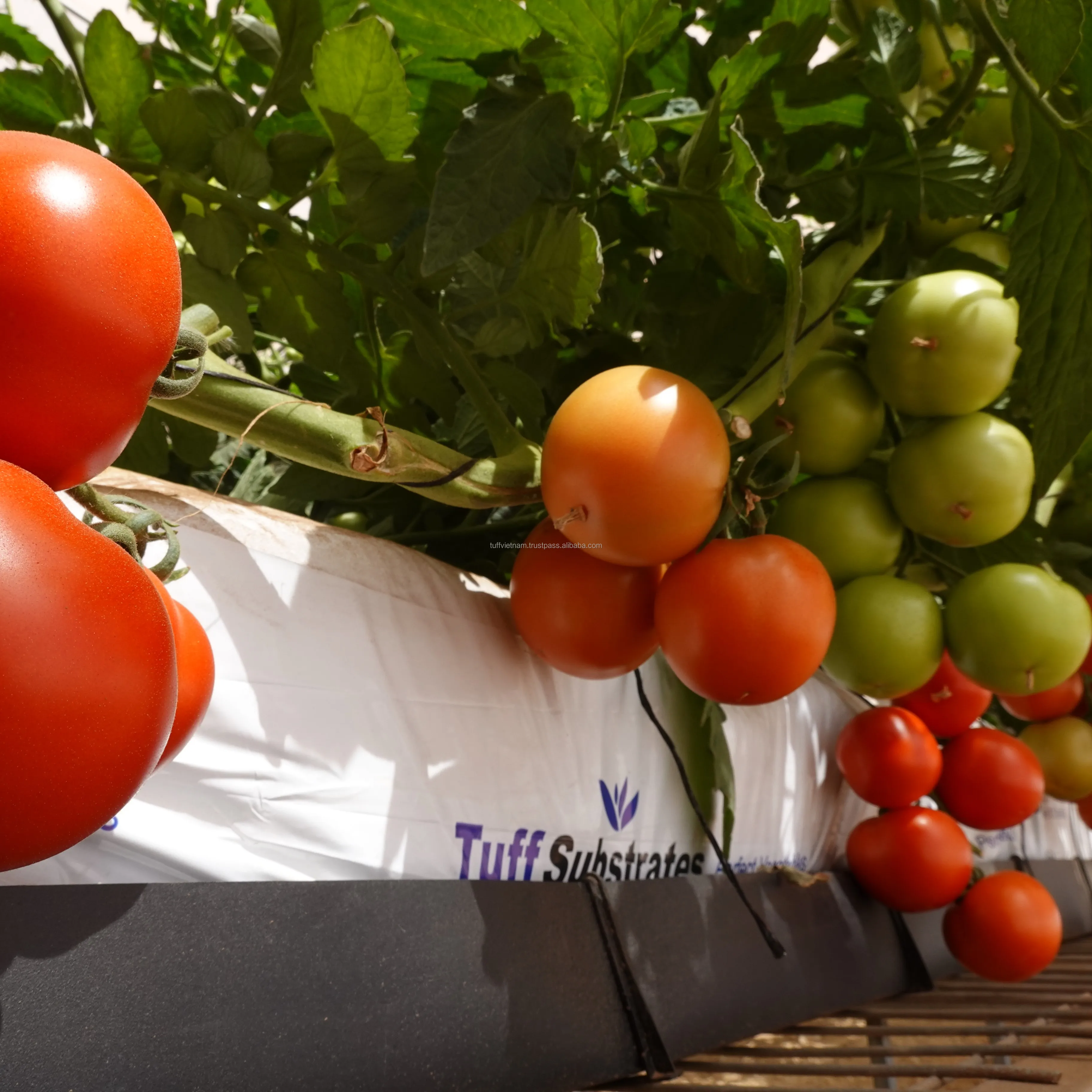 Cocopeat Growbag 28L Coconut Fiber / Peat Moss For Sale Grow Bags For Planting Tree Low EC