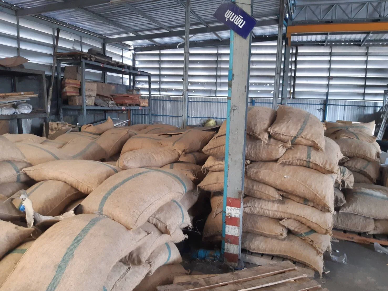 Best Selling Export Quality Areca Whole Betel Nut High Quality Betel Nuts Products From Thailand