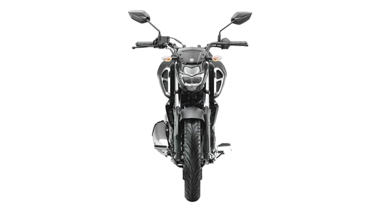 Genuine New India FZS-FI 150 Street Motorcycles From Indian Supplier