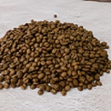 Freshly roasted coffee bean ground coffee from Vietnamese 100% Robusta packing 250/500g pouch