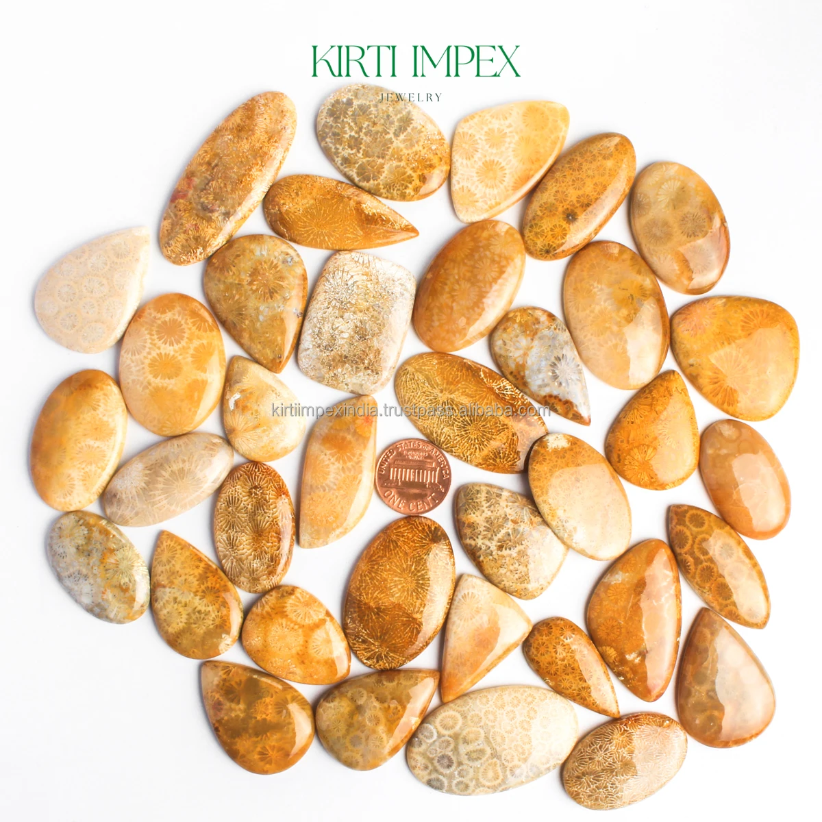 Natural Fossil Coral Cabochons Semi-Precious Loose Crystal Trending Authentic Organic Gemstones FlatBacks Fine Quality