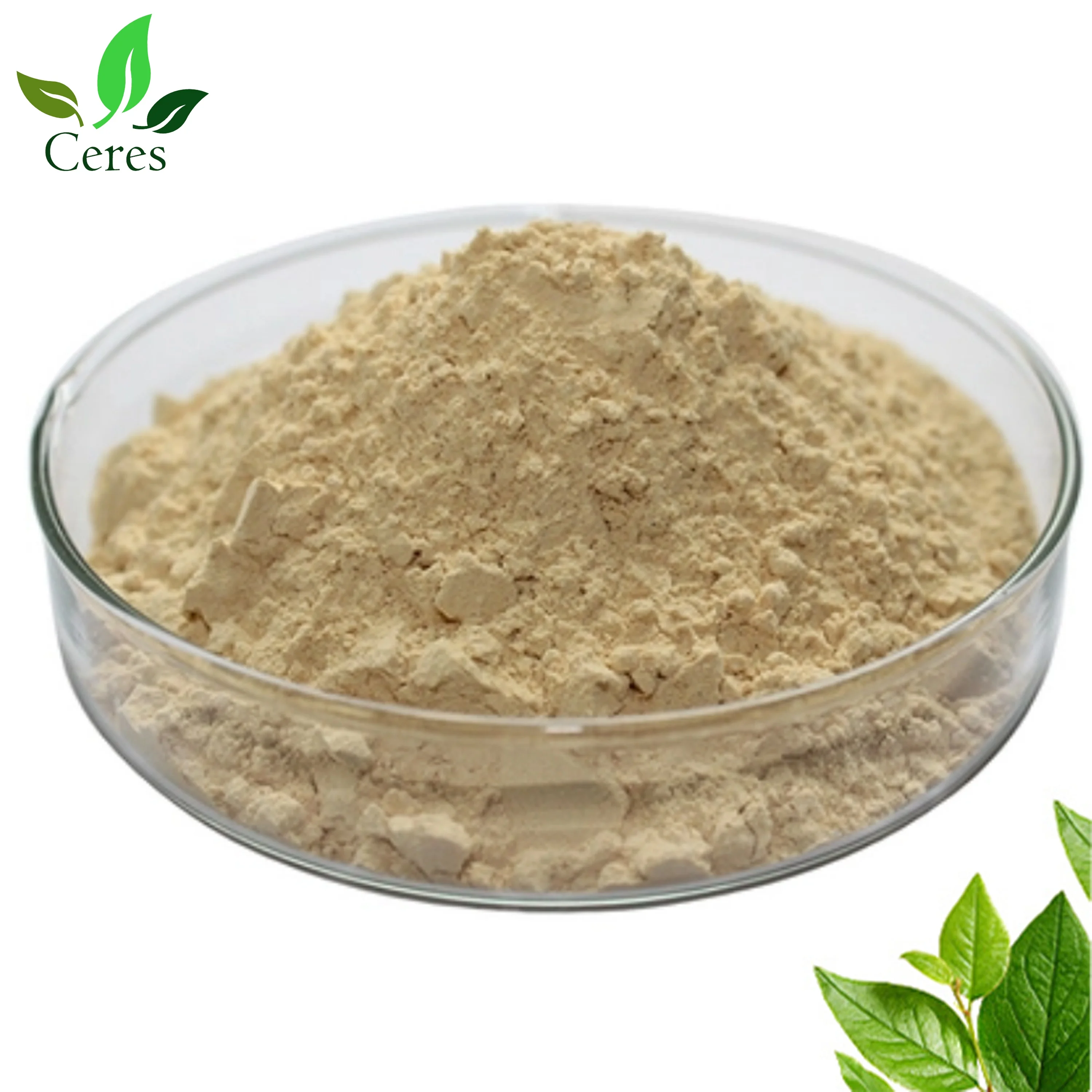 hot selling 100% Water Soluble liquid Chitosan Oligosaccharide 10% for Agriculture Use Indian manufacturer reliable wholesaler