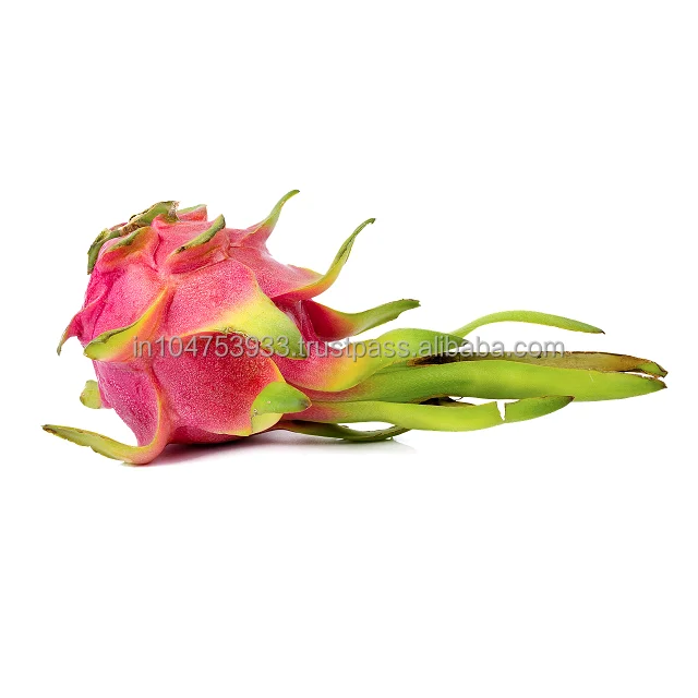  Экспорт свежих фруктов дракона в Индии