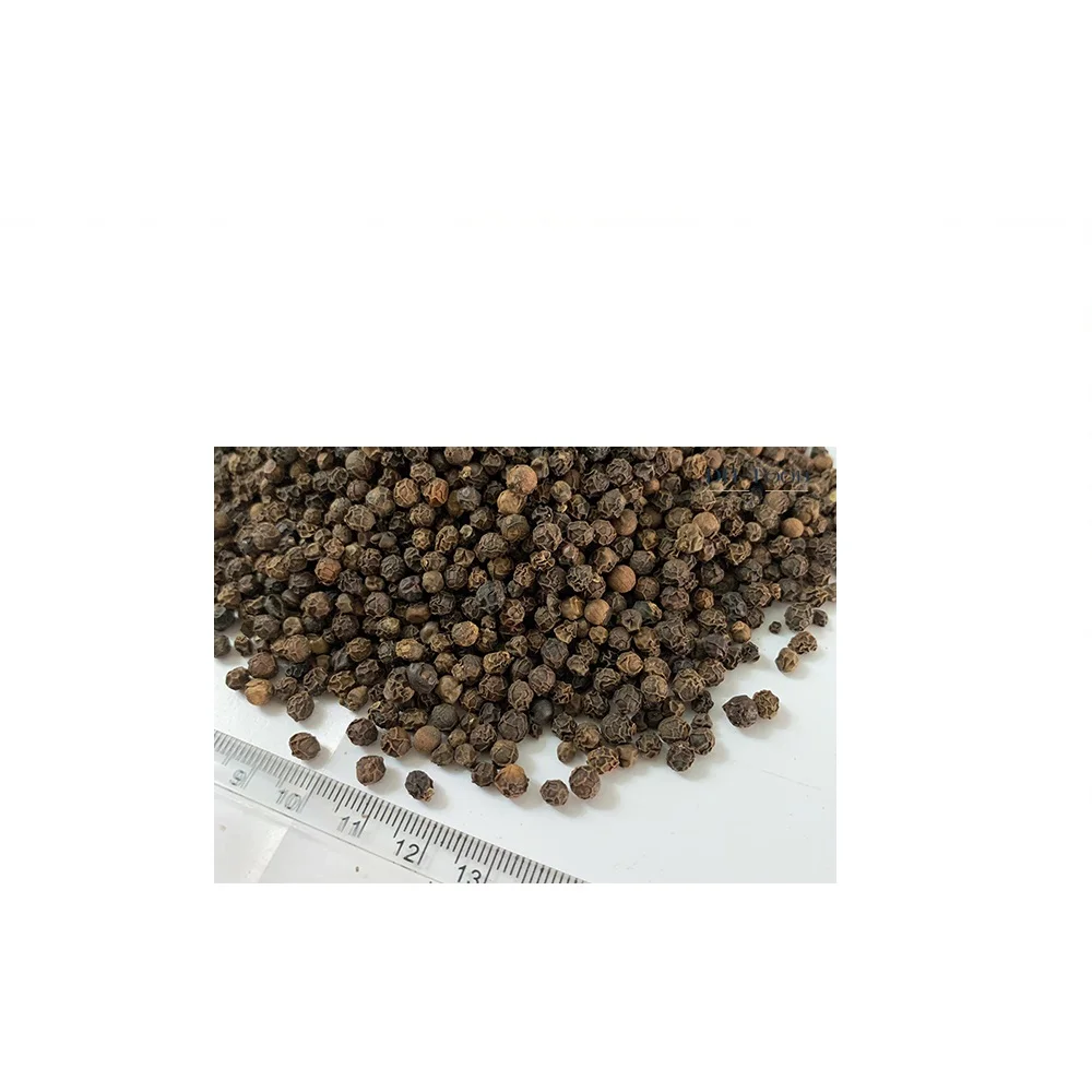 Vietnam whole black pepper high quality to export France market 500gl FAQ 550 gl FAQ 500 gl ASTA 580 gl ASTA