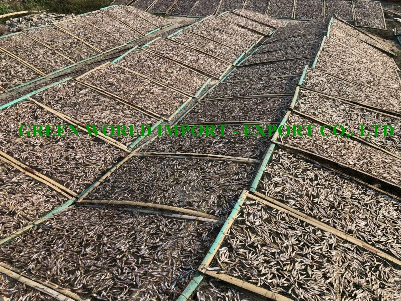 THE BEST OFFER FOR DRIED ANCHOVY WITH HIGH QUALITY - 100% DRIED BY SUN - HOT DEAL IN THIS SEASON