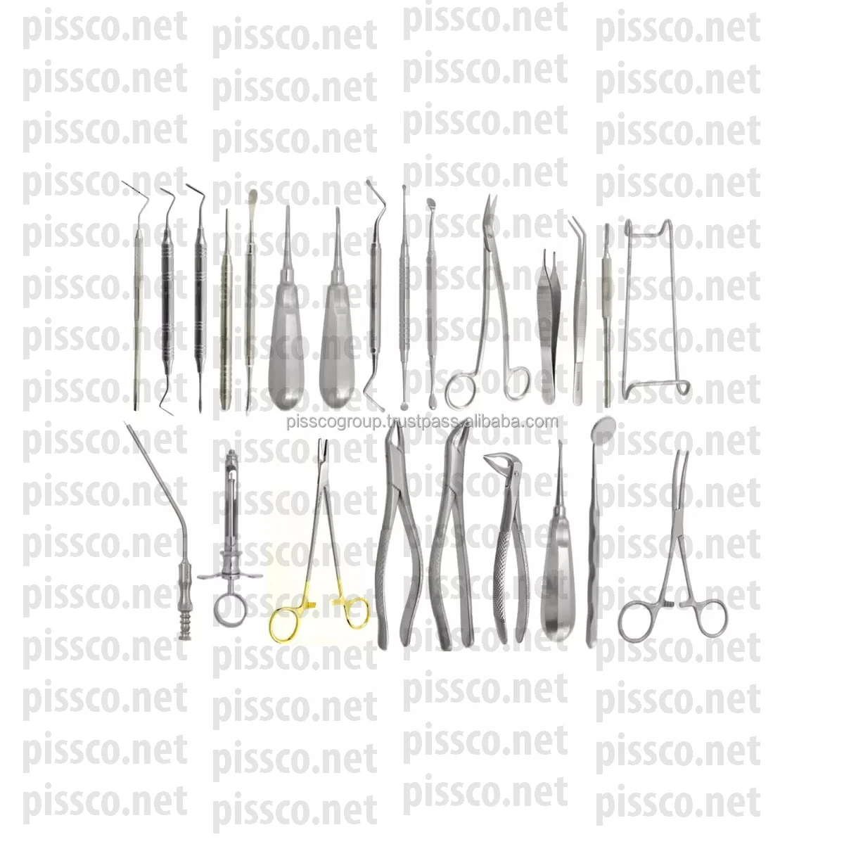 Extraction Kit Veterinary