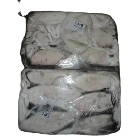 Замороженный кальмар lолиго, оптовая продажа, высокое качество, с высоким минимальным заказом, экспорт индийских морепродуктов