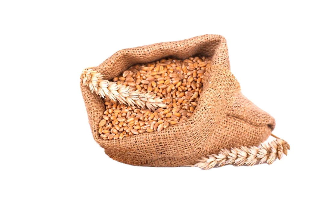 Farm Produced Organic Whole Wheat Grains at Best Market Price