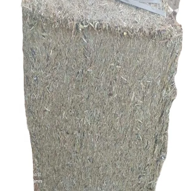 High Quality Pakistani Moisture Controlled Mustard Hay Animal Feed Sheep Horse Cattle Pig Goats Etc Premium Grade Quality Grade