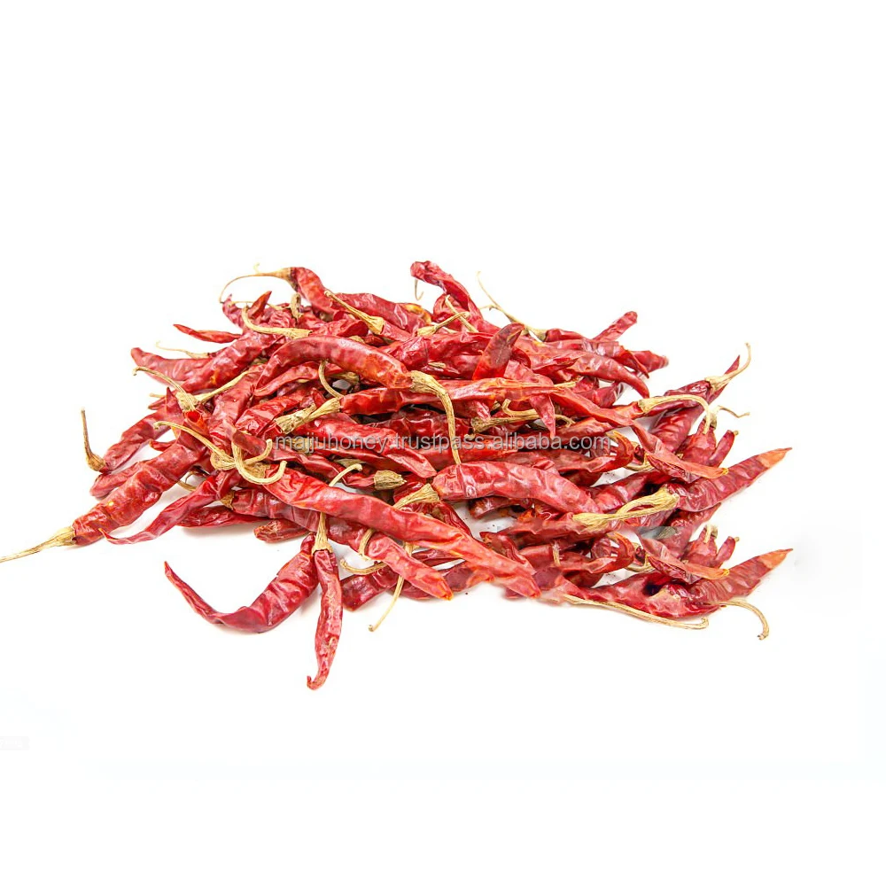 Best Quality Indian Teja Dried Red Chilli Stem Whole Dried Moky Aromatic with Customized Bulk Packing Bags Hot Spicy Flavor