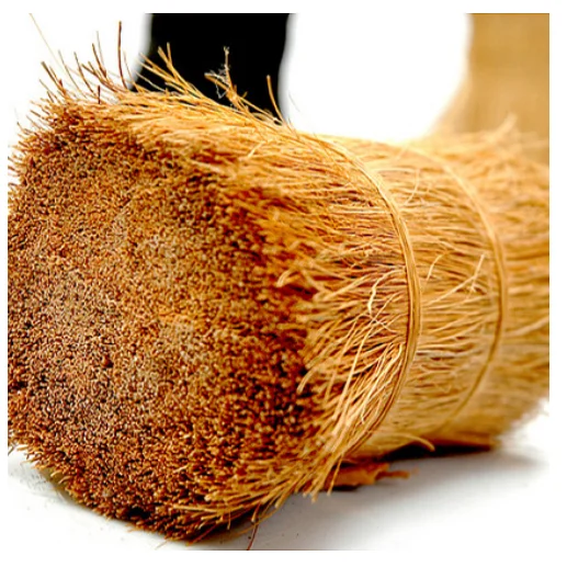 Bristle Fiber good quality for Sale   - Broom Industries - SITCO