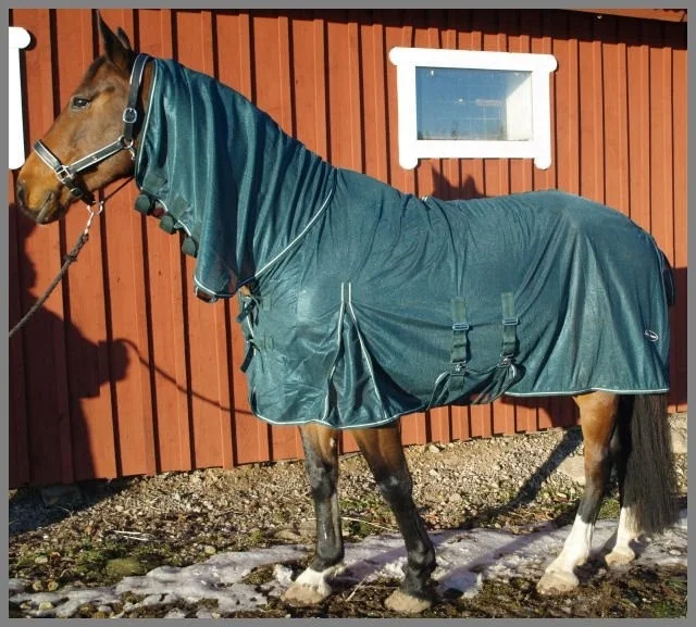Horse Light weight Summer Protection Cover Fixed Neck Sheet Combo Fly Rug.