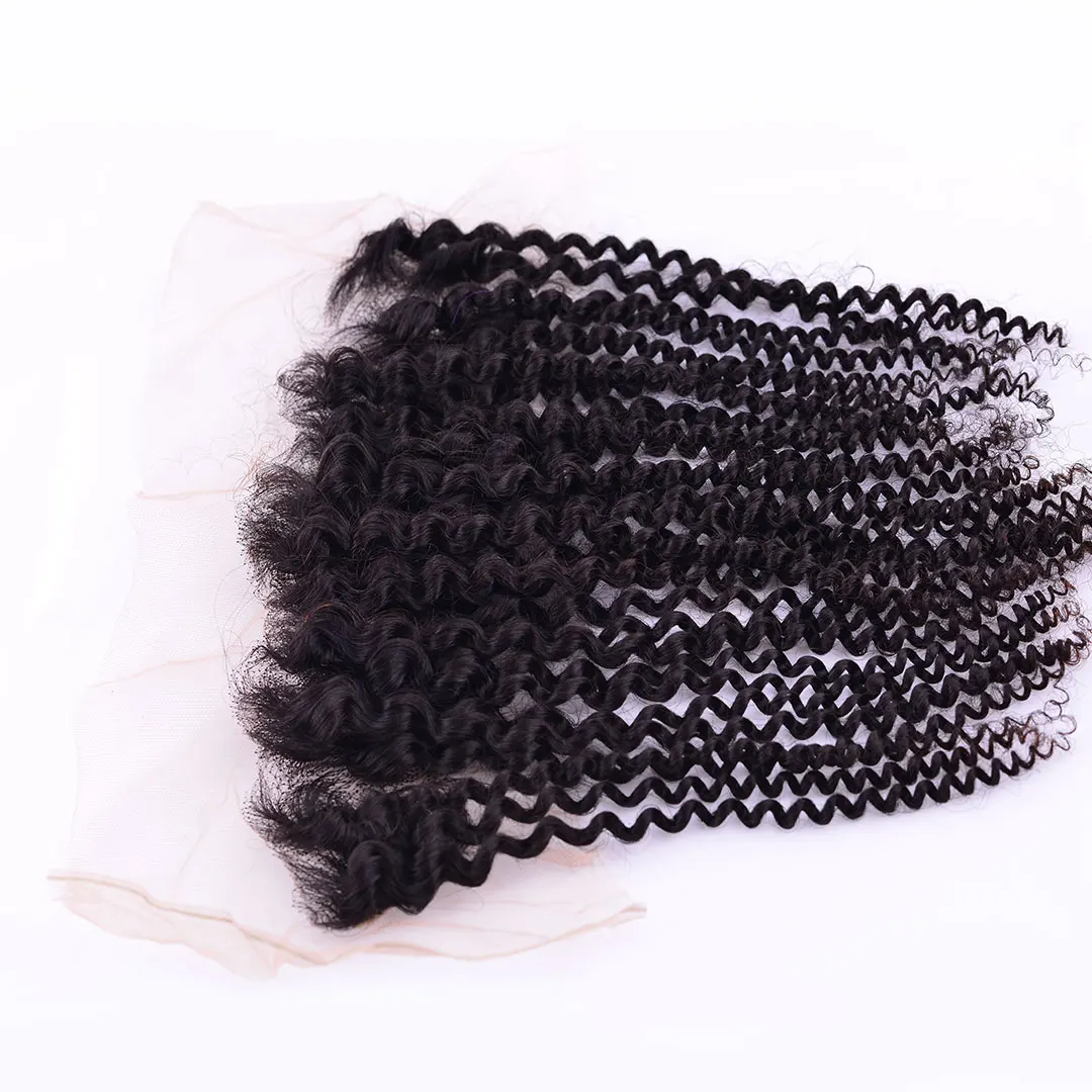 Kinky Curly 100% unprocessed Human Hair Wig - Raw Remy Hair Wigs - HD Swiss Lace Transparent Lace Wigs