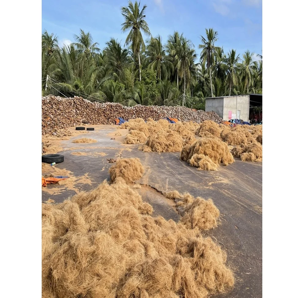 Best Selling Coconut Fiber 100% Natural Coconut Fiber for mattress production Premium quality Brownish yellow made in Viet Nam