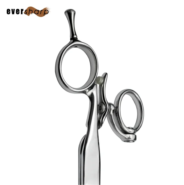 Scissors for Professional Hairdressers Swivel Thumb Scissor Case Professional Scissors for Barber