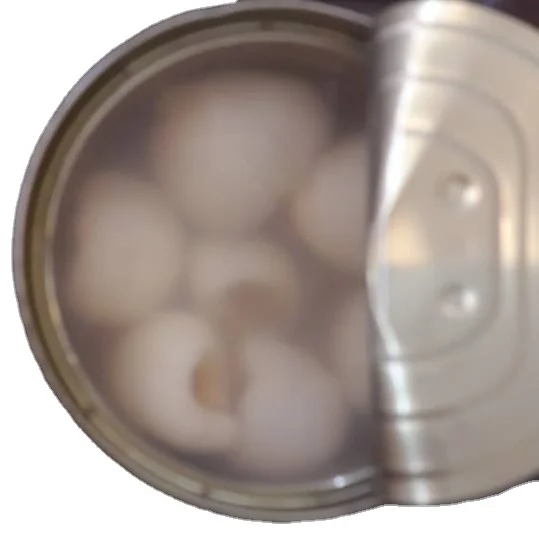 GOOD PRICE CANNED LYCHEE WITH COMPETITIVE PRICE