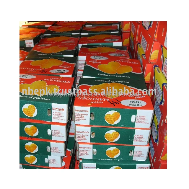 Premium Quality Hot Selling Fresh Pakistani Sindri Mango Natural Sweet mango Wholesale Chaunsa in Bulk