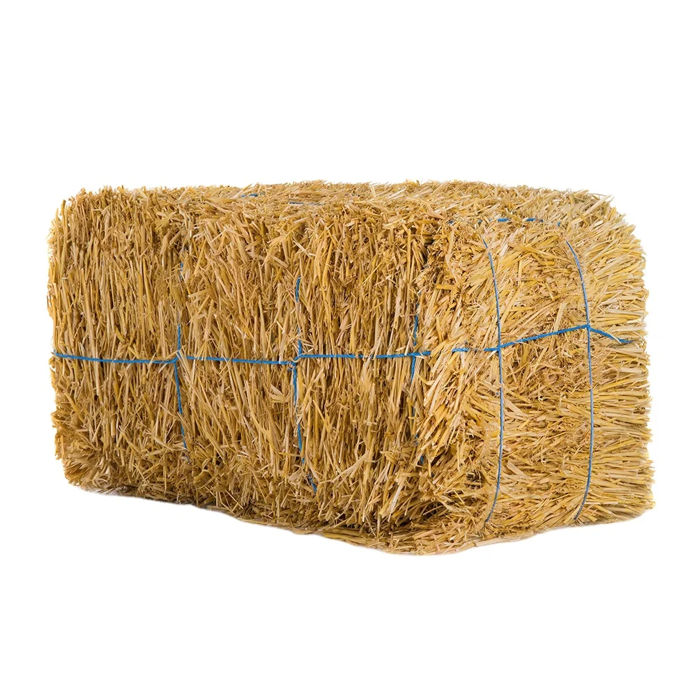 Low Priced Feed Grade Soybean Meal Bulk Stock Hay Wheat Straw for Sheep Consumption Packaged in Bags Additive for Animal Feed