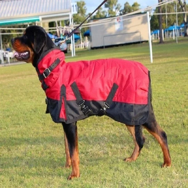 Wholesale Winter Pet Dog Clothes Top Selling dog jacket Outdoor OEM warm comfortable Amazon Manufacturers India Tack Shop Kanpur