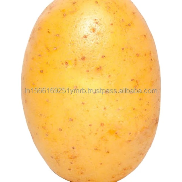 Hot sell for the fresh new crop Fresh Potatoes Fresh Peeled Potatoes