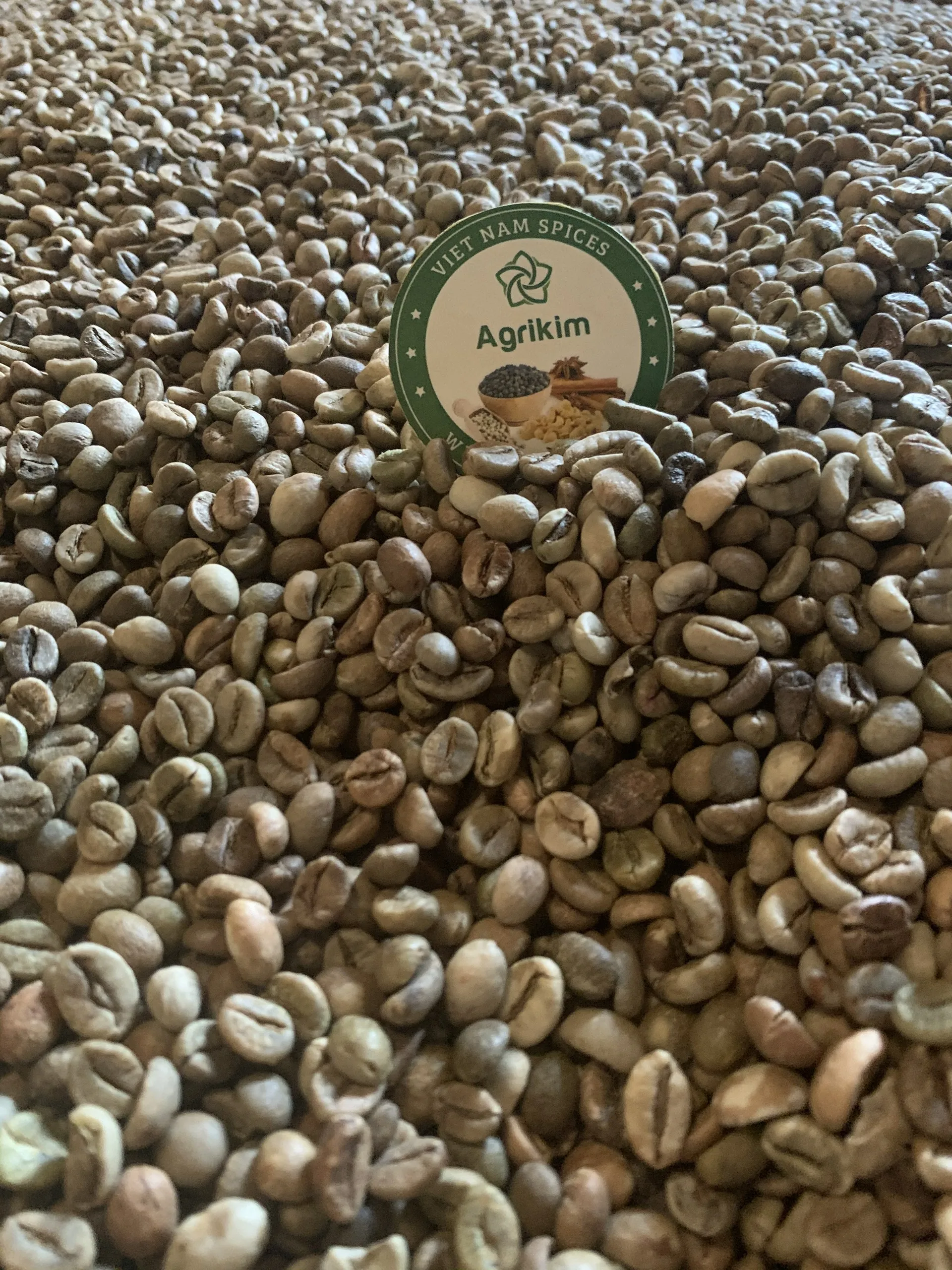 Top Selling Vietnam Green Coffee Beans All Screens Robusta Raw Coffee Beans Competitive Price