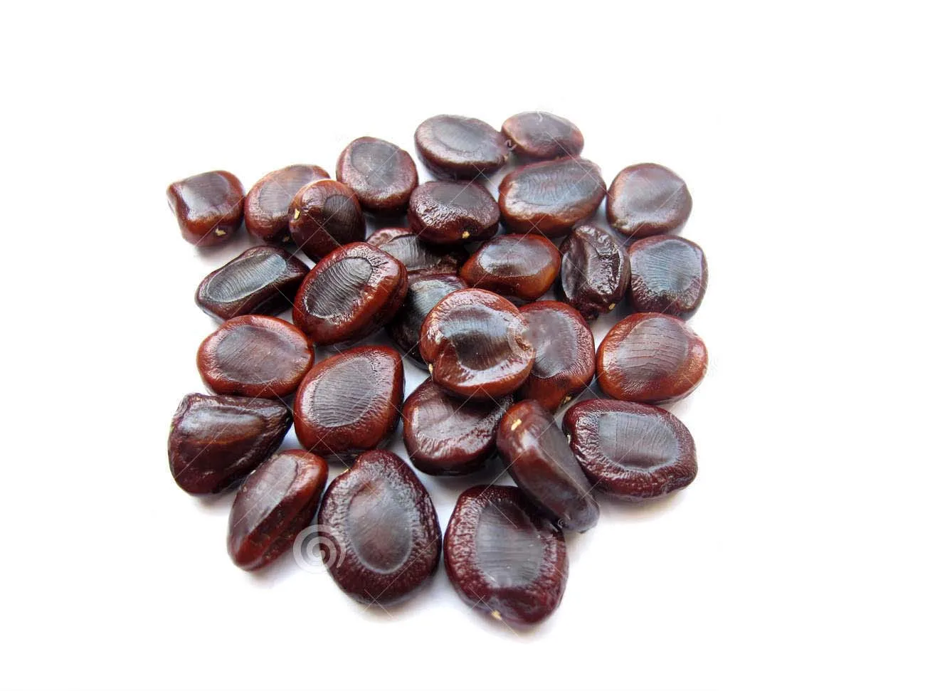 Broken Split Tamarind Seed,tamarind Seeds Thailand Turmeric AD Single Herbs & Spices Dried Raw 2022 Crop from TH;3 +66972381343
