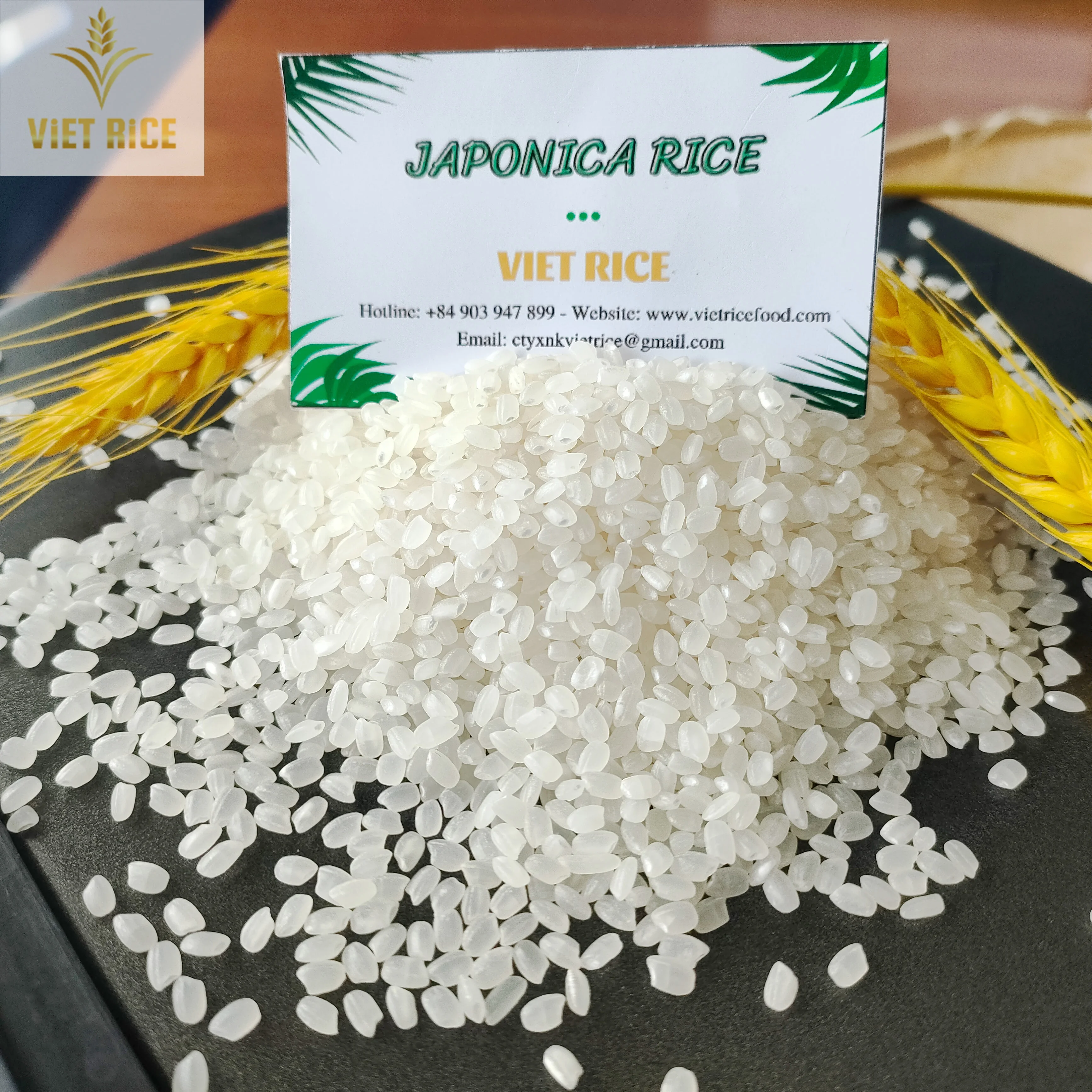 Japonica 5% broken short grain white rice - the best option for making sushi supplied by VIETRICE in large quantity& cheap price
