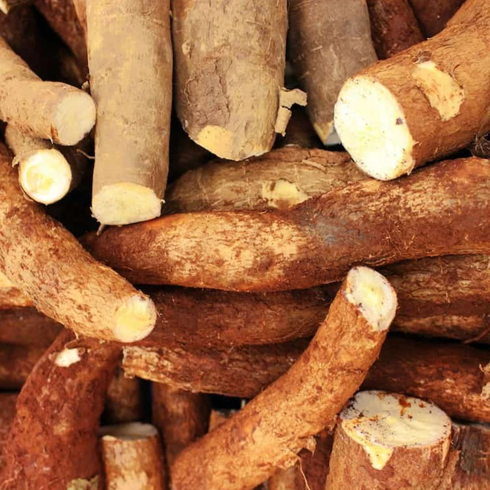 Wholesale 100% Natural Dried Cassava /Raw Dry Cassava from Vietnam
