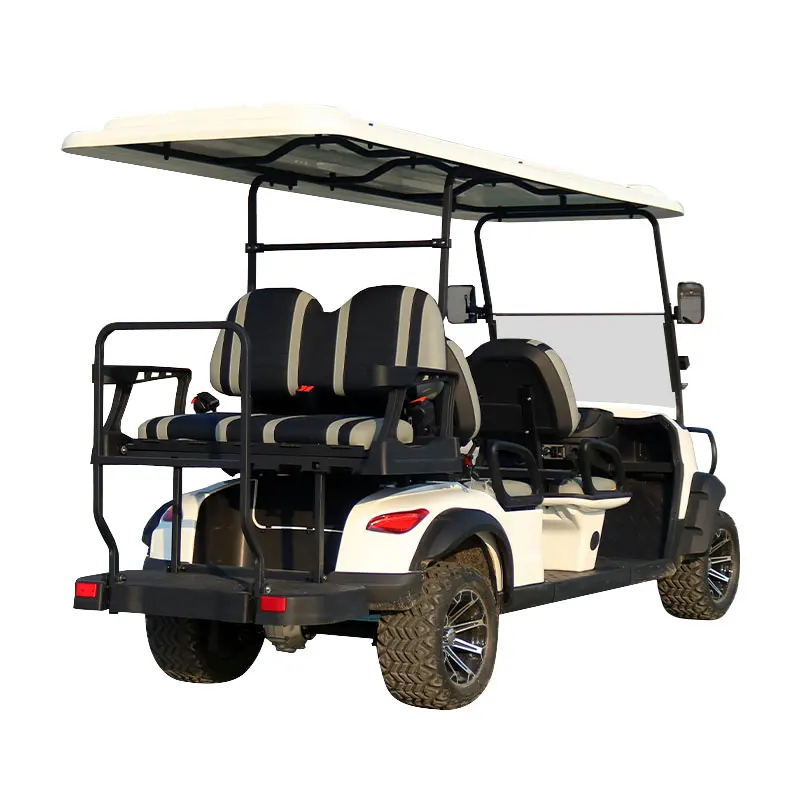 48V/72V New Design with Curtis Controller Electric Golf Cart 5kw ODM Service for Exclusive Brand Agent