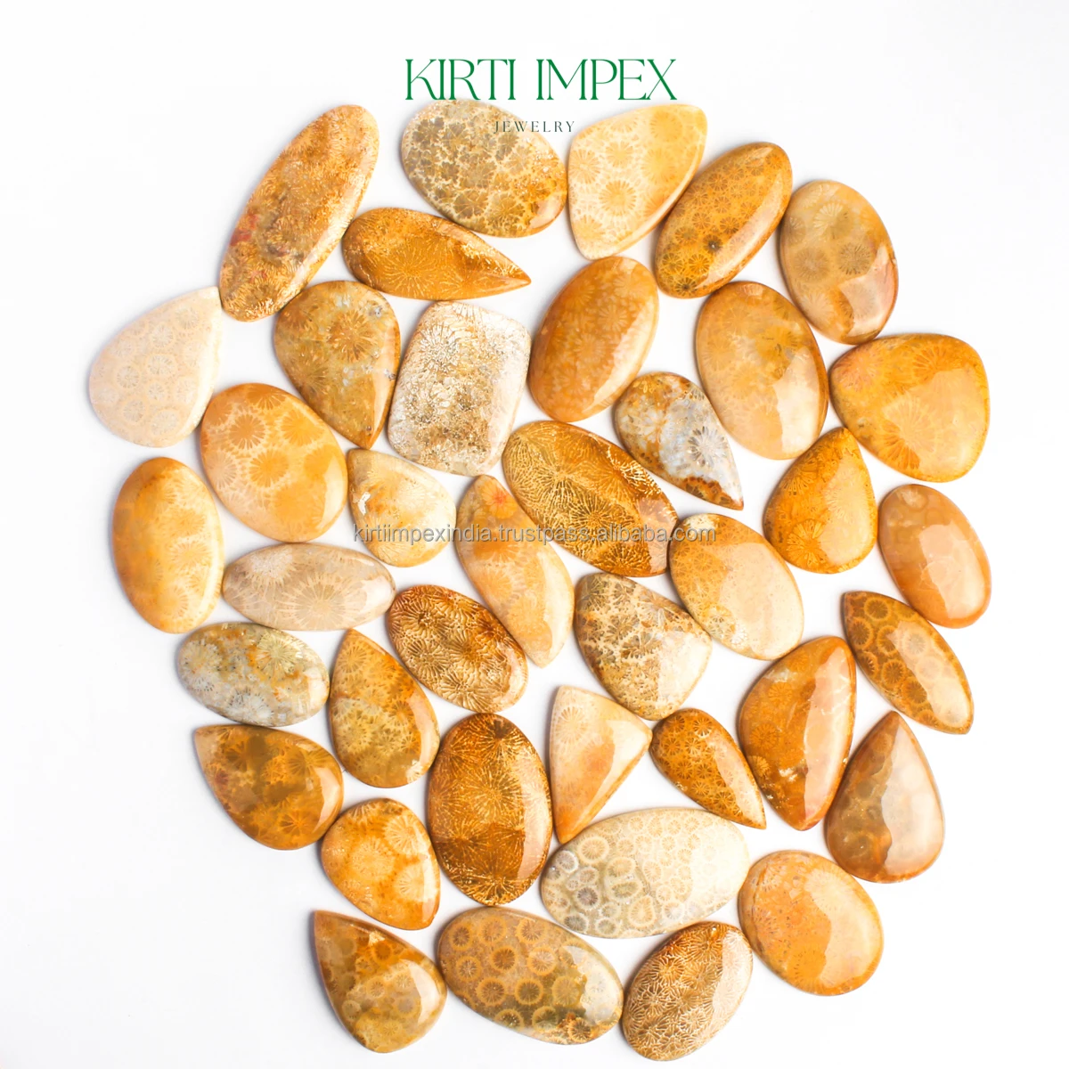 Natural Fossil Coral Cabochons Semi-Precious Loose Crystal Trending Authentic Organic Gemstones FlatBacks Fine Quality