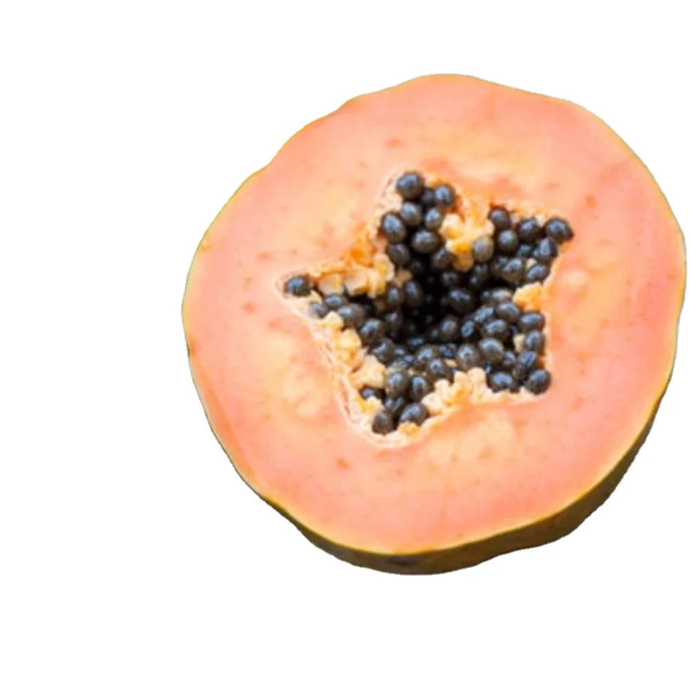 Красный Pawpaw red glory f1